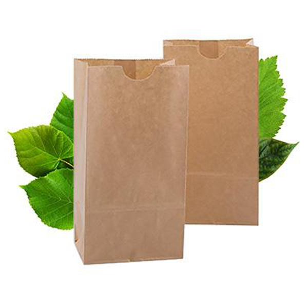 Medium Shopper Brown Paper Bag (250)