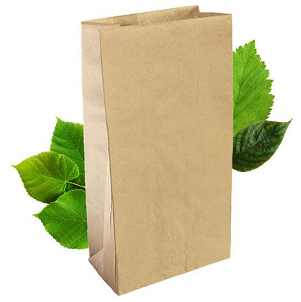 SO 1 Brown Paper Bag (500)