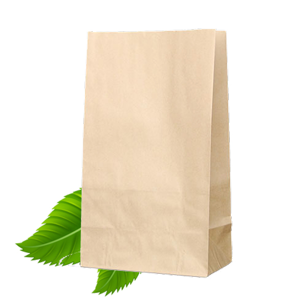 SO 2 Brown Paper Bag (500)