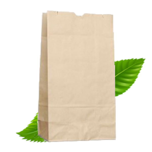 SO 4 Brown Paper Bag (500)