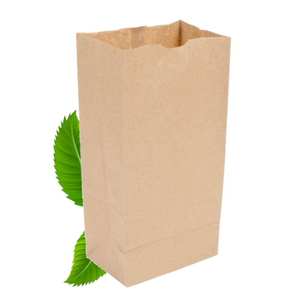 SO 6 Brown Paper Bag (500)