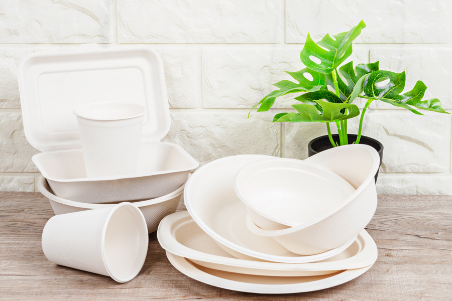 bagasse-sugar-cane-products-king-pack-eco-friendly-sustainable-biodegradable-takeaway-food-packaging-supplier-south-africa