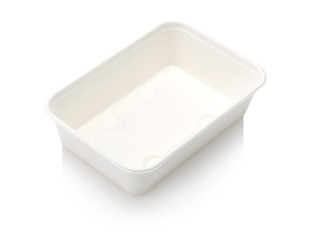 Sugar Cane - Food Meal 500ml (50)