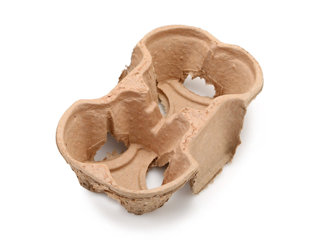 Biodegradable 2 Compartment Cup Holder - Recycled Paper (180)