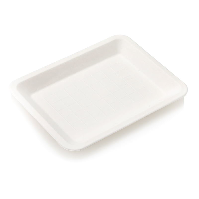 Biodegradable 20cm Deli Food Tray (50)