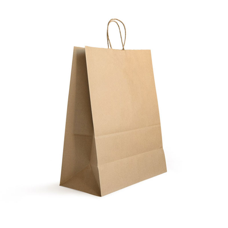 Brown HandyPak with Paper Twist Handles (100)