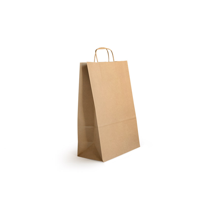 Brown ThriftyPak with Paper Twist Handles - Heavy Duty (100)