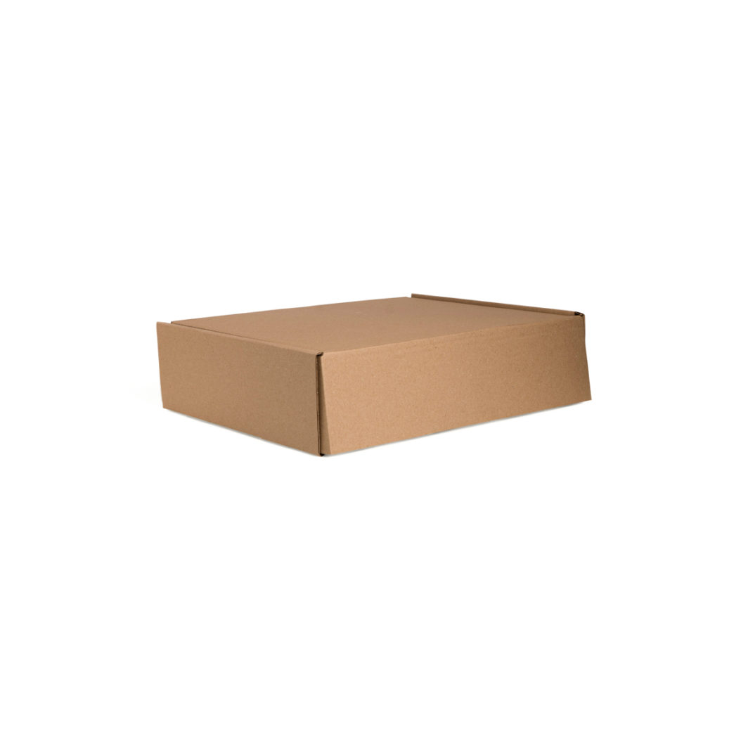 Self-Locking Box 2 - L271xW187xH63mm (50)